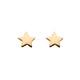 Golden Star Stud Earrings