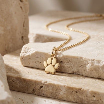 Gold Plate Paw Print 18” Necklace on a stone surface