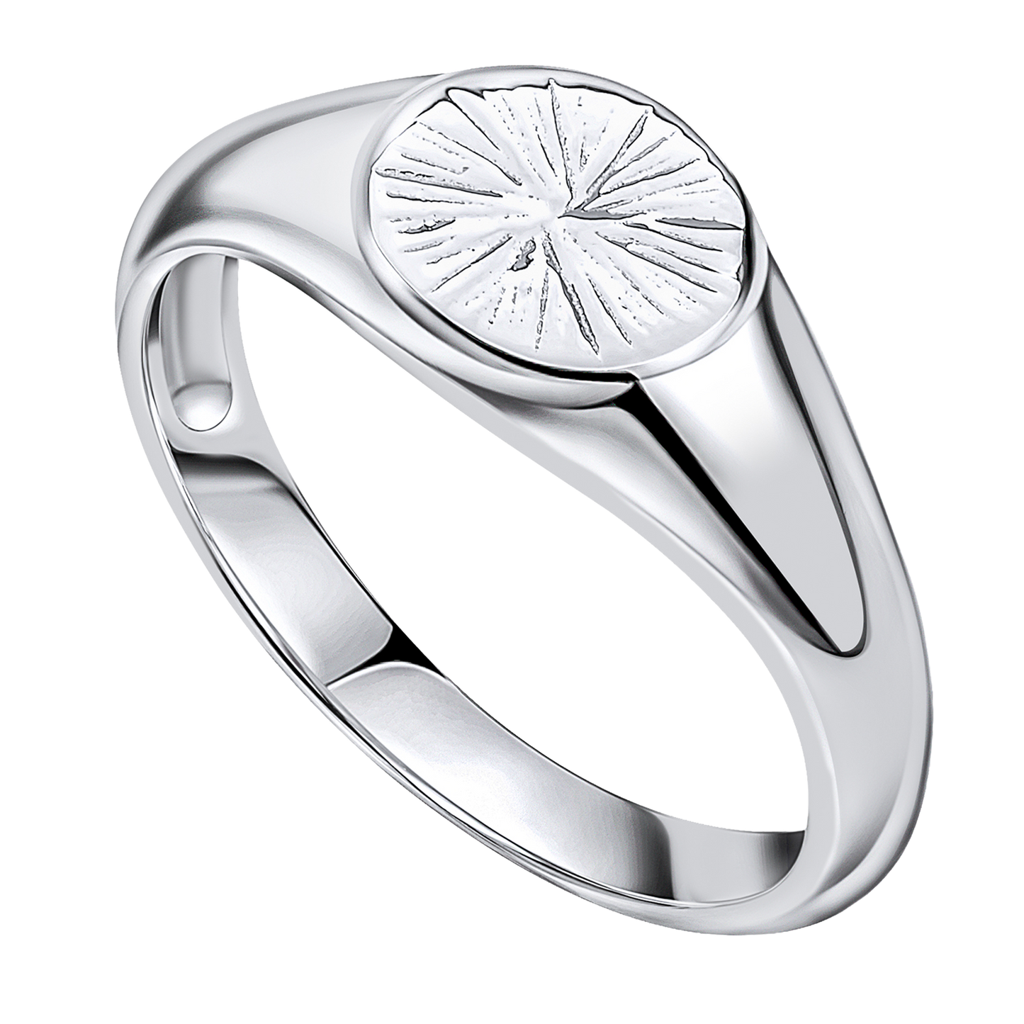 Spray Textured Signet Ring